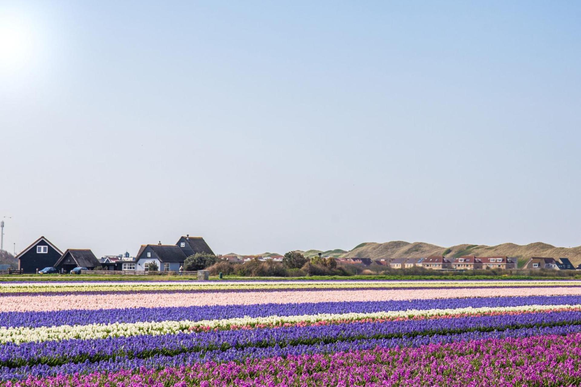 Vakantiehuis Nordseezauber - Callantsoog Aan Zee Eksteriør billede